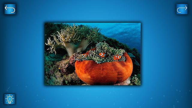 Image for the game Puzzle: Ocean