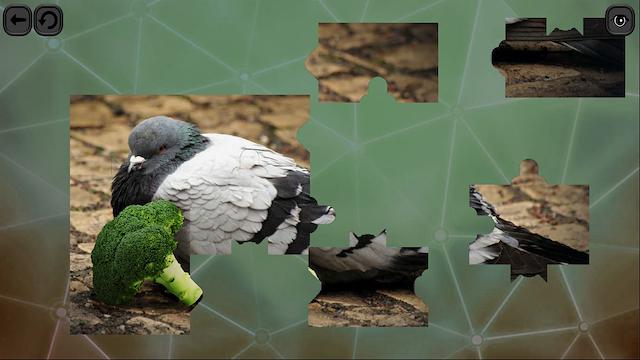 Image for the game Puzzles for Smart: Birds