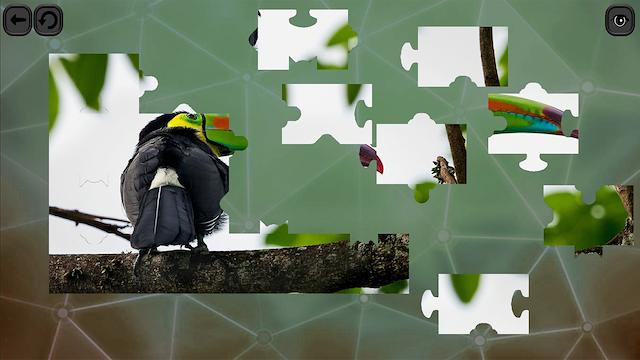 Image for the game Puzzles for Smart: Birds