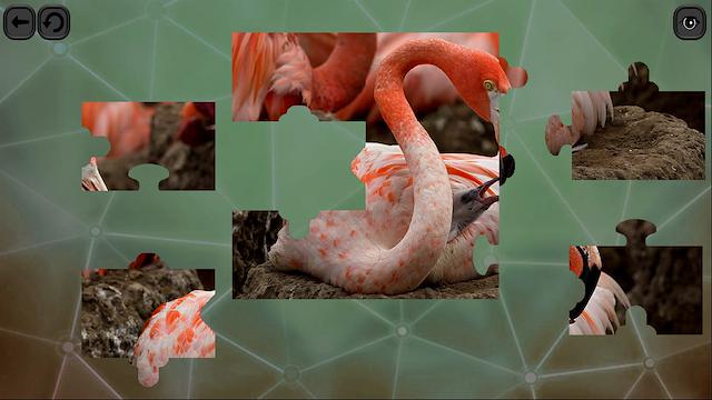 Image for the game Puzzles for Smart: Birds