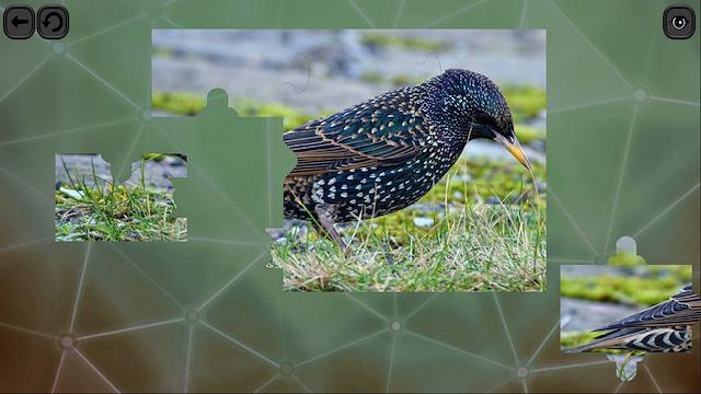 Image for the game Puzzles for Smart: Birds
