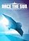 Cover image for the game Race the Sun