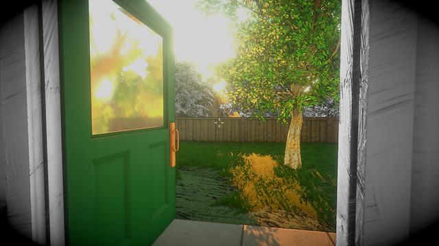 Image for the game Reflections