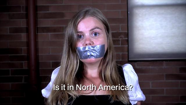 Image for the game Rescue the Hostages: Twenty Deadly Questions