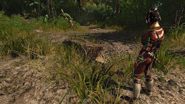 Image for the game Risen 2: Dark Waters