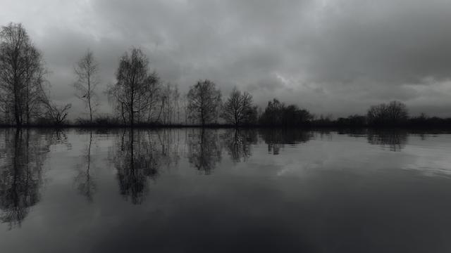 Image for the game Road to Vostok