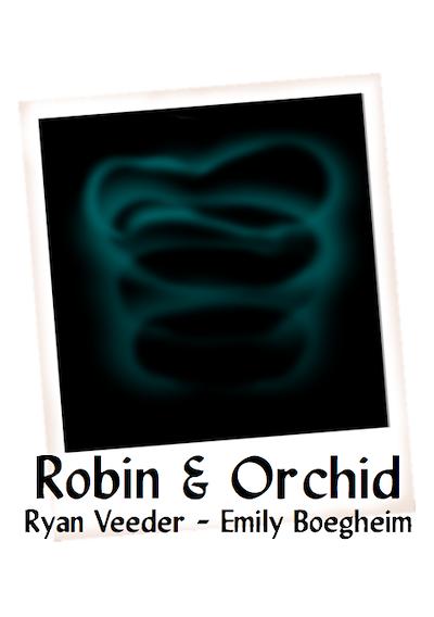 Cover image for the game Robin & Orchid