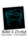 Cover image for the game Robin & Orchid