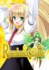 Cover image for the game Rosenkreuzstilette