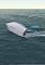 Cover image for the game Sail Simulator 5