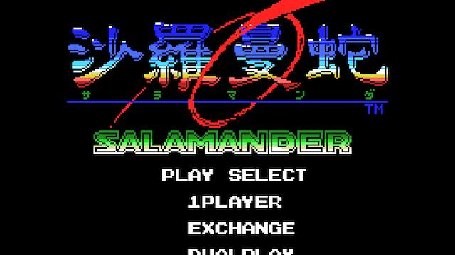 Image for the game Salamander