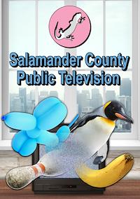 Cover image for the game Salamander County Public Television