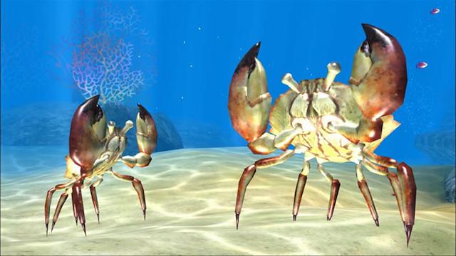 Image for the game Sealife Safari