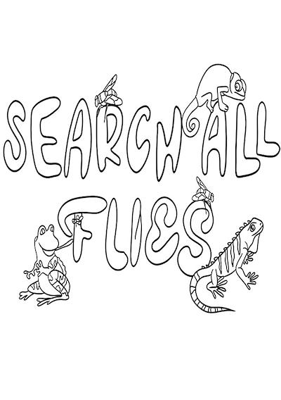 Cover image for the game Search All: Flies
