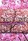 Cover image for the game Season of Mystery: The Cherry Blossom Murders