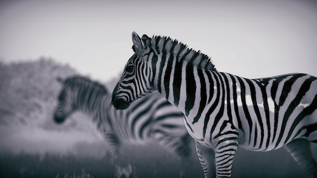 Image for the game Seclusa