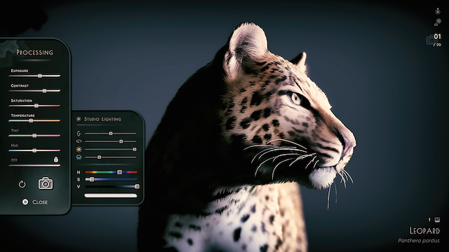 Image for the game Seclusa