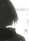 Cover image for the game Secret in Story