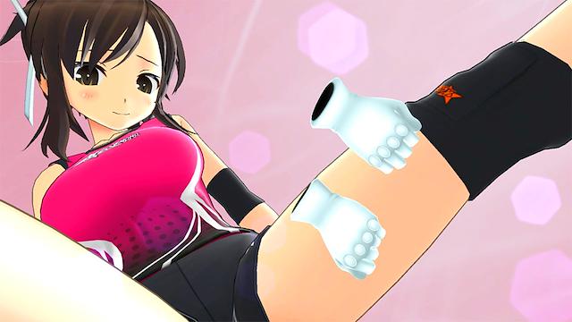 Image for the game Senran Kagura Reflexions