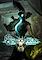 Cover image for the game Shadowrun Returns