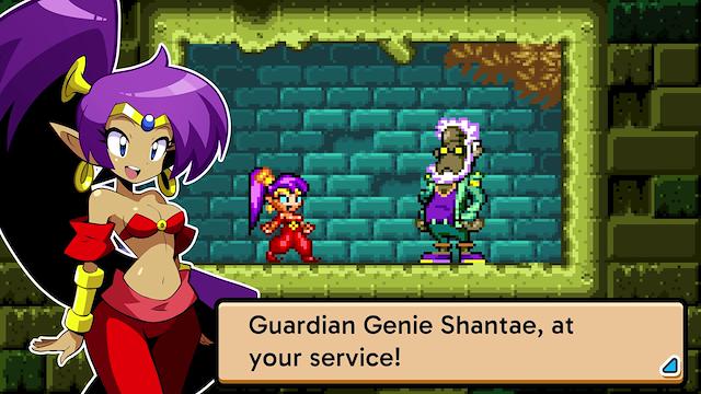 Image for the game Shantae Advance: Risky Revolution