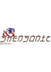 Cover image for the game ShenSonic