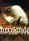 Cover image for the game Silent Hill 2: Restless Dreams