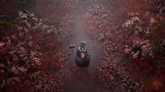 Image for the game Silent Hill f
