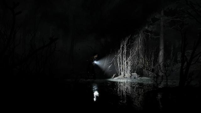 Image for the game Silver Pines