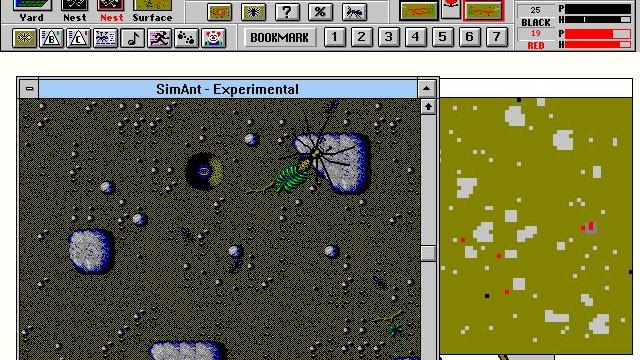 Image for the game SimAnt