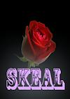 Cover image for the game Skeal