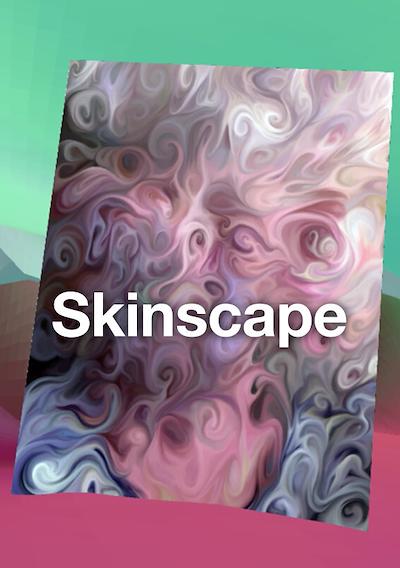 Cover image for the game Skinscape