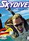 Cover image for the game Skydive!