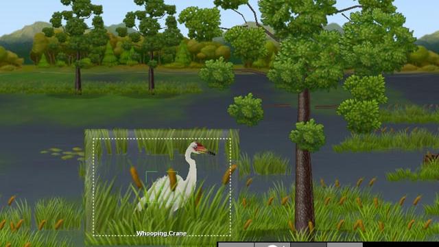 Image for the game Snapshot Adventures: Secret of Bird Island