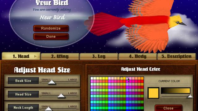 Image for the game Snapshot Adventures: Secret of Bird Island