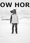 Cover image for the game Snow Horse