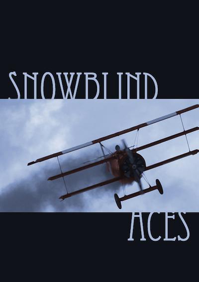 Cover image for the game Snowblind Aces