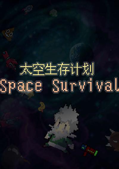 Cover image for the game Space Survival