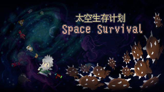 Image for the game Space Survival