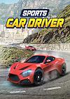 Cover image for the game Sports Car Driver