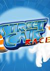 Cover image for the game Street Cats Race