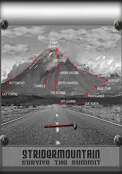 Cover image for the game Strider Mountain