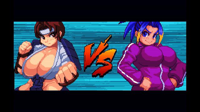 Image for the game Strip Fighter Zero