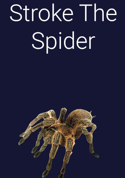 Cover image for the game Stroke the Spider