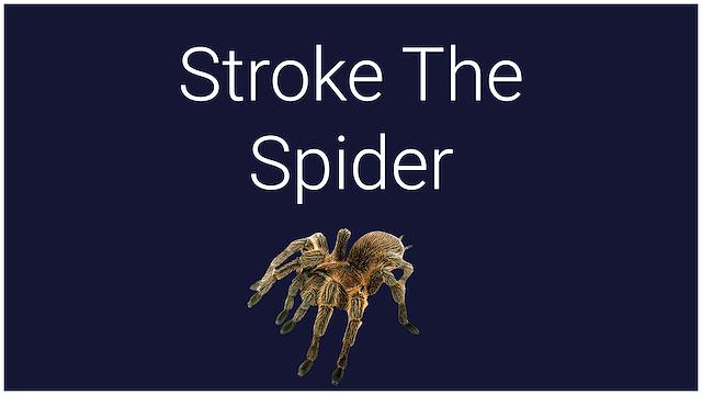 Image for the game Stroke the Spider