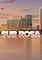 Cover image for the game Sub Rosa