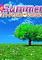 Cover image for the game Summer Tri-Peaks Solitaire