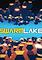 Cover image for the game Swarmlake