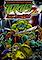 Cover image for the game Teenage Mutant Ninja Turtles 2: Battle Nexus