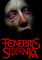 Cover image for the game Tenebris Somnia